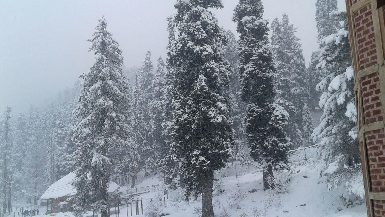 Gulmarg receives fresh snowfall